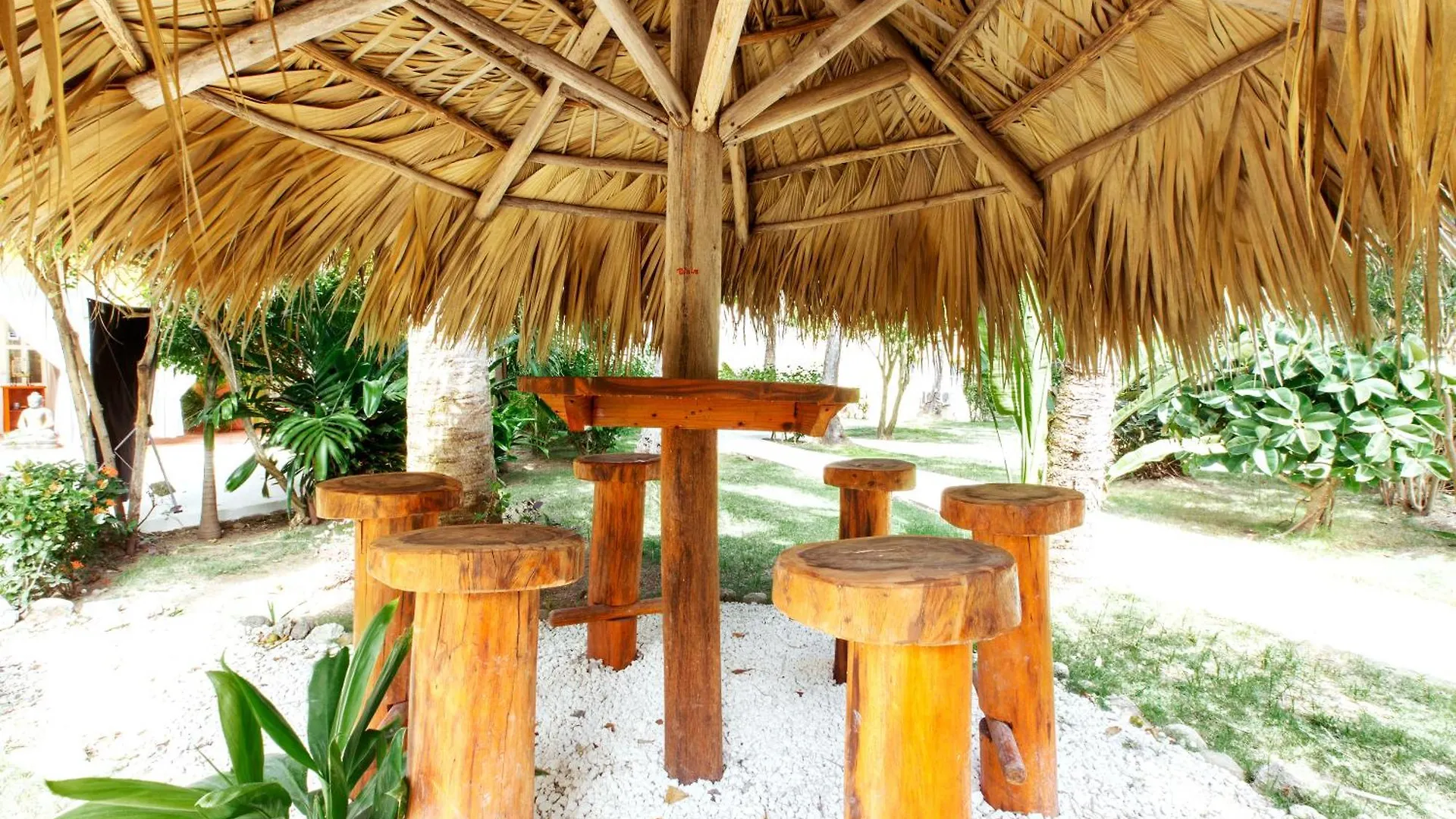 ***** Hotel Tropicana Suites Punta Cana República Dominicana