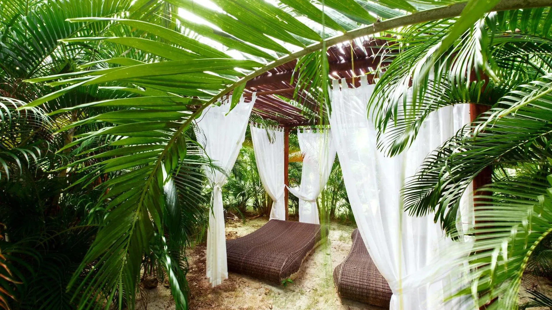 Tropicana Suites Punta Cana Hotel